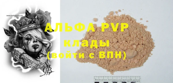 сатива Бородино