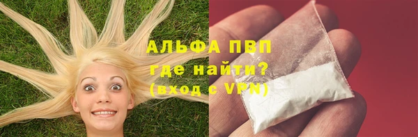 сатива Бородино