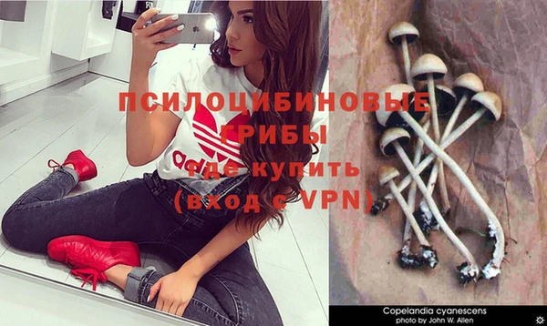стафф Бронницы