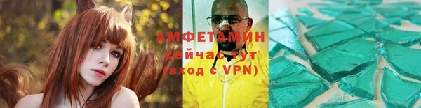 сатива Бородино