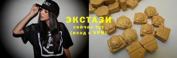 сатива Бородино