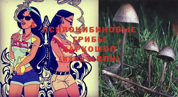 стафф Бронницы