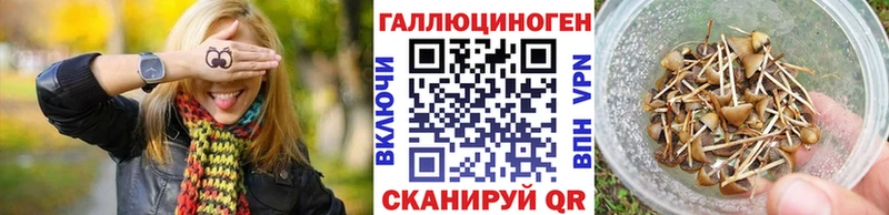 Галлюциногенные грибы Psilocybe  Палласовка 